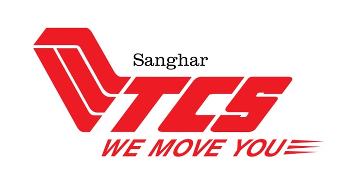 tcs sanghar office branch 