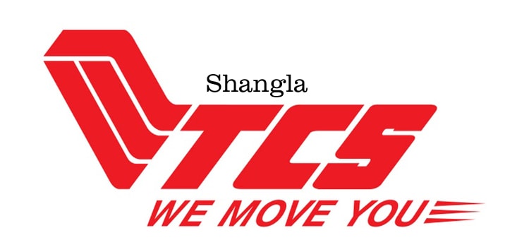 tcs shangla office branch