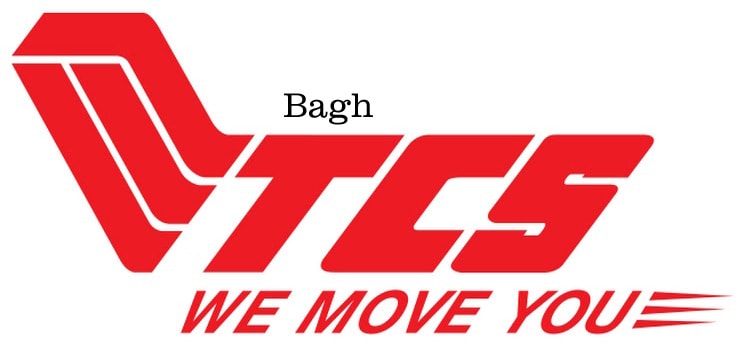 tcs bagh office